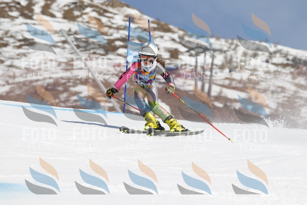 _U3G0601 | holidayphoto