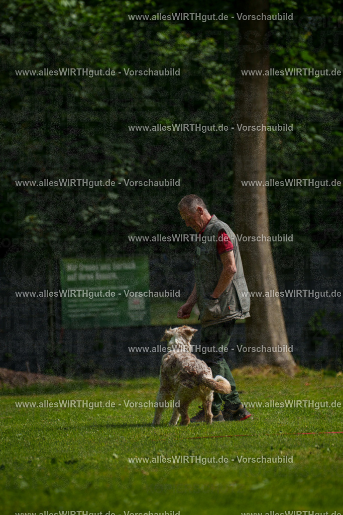 @allesWIRTHgut_Tierfotografie - www.allesWIRTHgut.de - 100234-7R508003 | Professionelle Tierfotografie in Mönchengladbach von Daniel Wirth (allesWIRTHgut). Liebevolle & natürliche Bilder von Hunden & Katzen für unvergessliche Erinnerungen.
