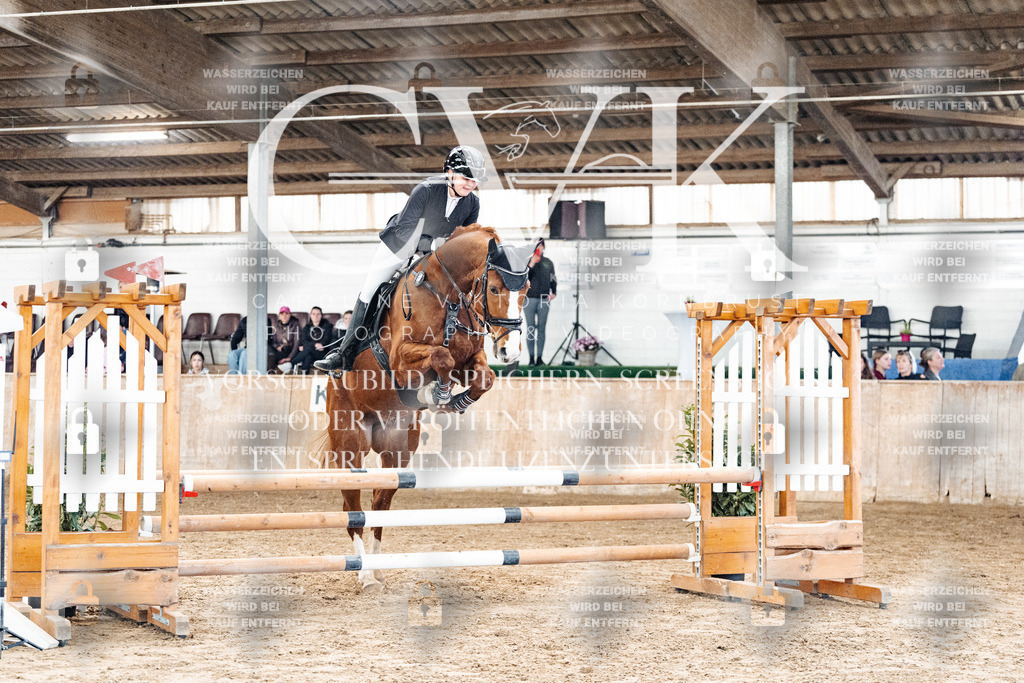 CK904107 | Turnierfotografie Pferdefotografie Trier Rheinland-Pfalz Pferdesport Reitsport Tierfotografie Sportfotografie Pferdevideo Pferdevideografie Equestrianvideography equestrianphotography  - Realisiert mit Pictrs.com