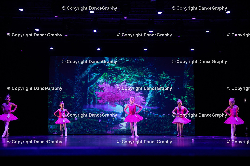 GPHY5020 | DanceGraphy - Realisiert mit Pictrs.com