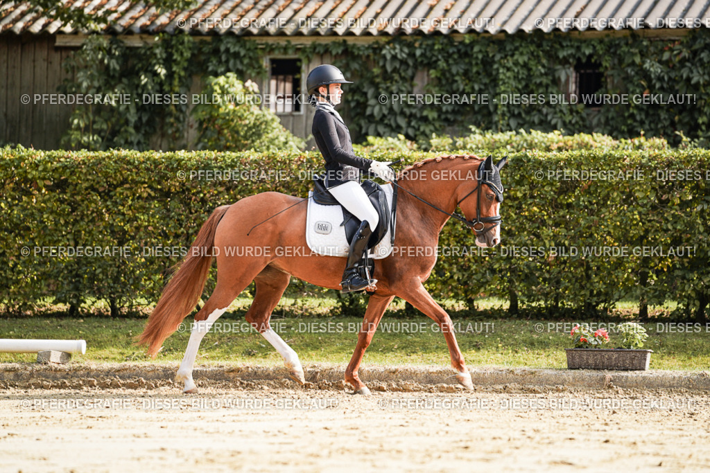 DSC05829 | Pferdegrafie