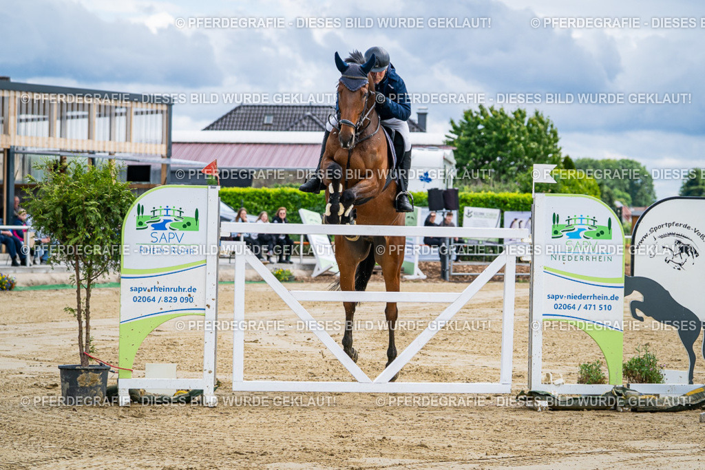 DSC05286 | Pferdegrafie