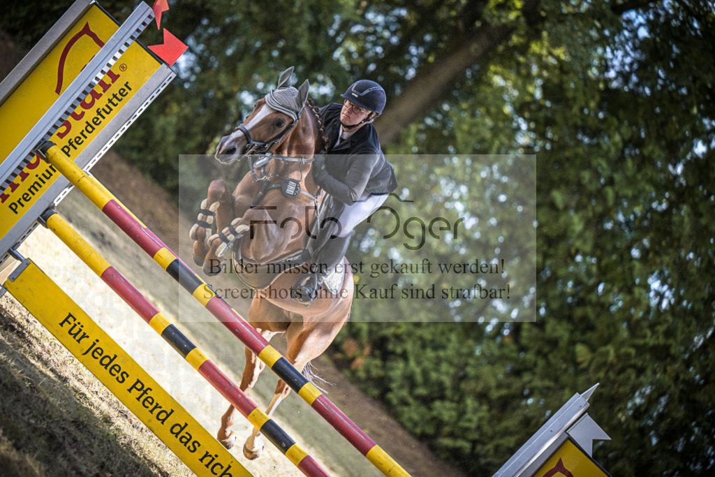DOS_1543 | Entdecke hochwertige Reitturnierfotos von Foto Oger. Professionell, emotional und authentisch – jetzt Lieblingsmomente im Shop bestellen.Deutschlandweite Turnierfotografie. - Realisiert mit Pictrs.com