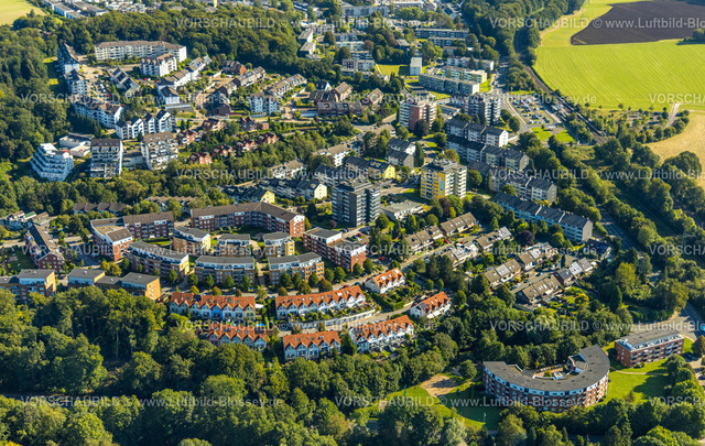 Velbert240811970Neviges | Luftbild, Wohngebiet Wohnsiedlung Rosenhügel mit Reihenhäusern und Hochhäusern, Konrad-Adenauer-Straße am Waldrand, Kleinehöhe, Velbert, Ruhrgebiet, Nordrhein-Westfalen, Deutschland