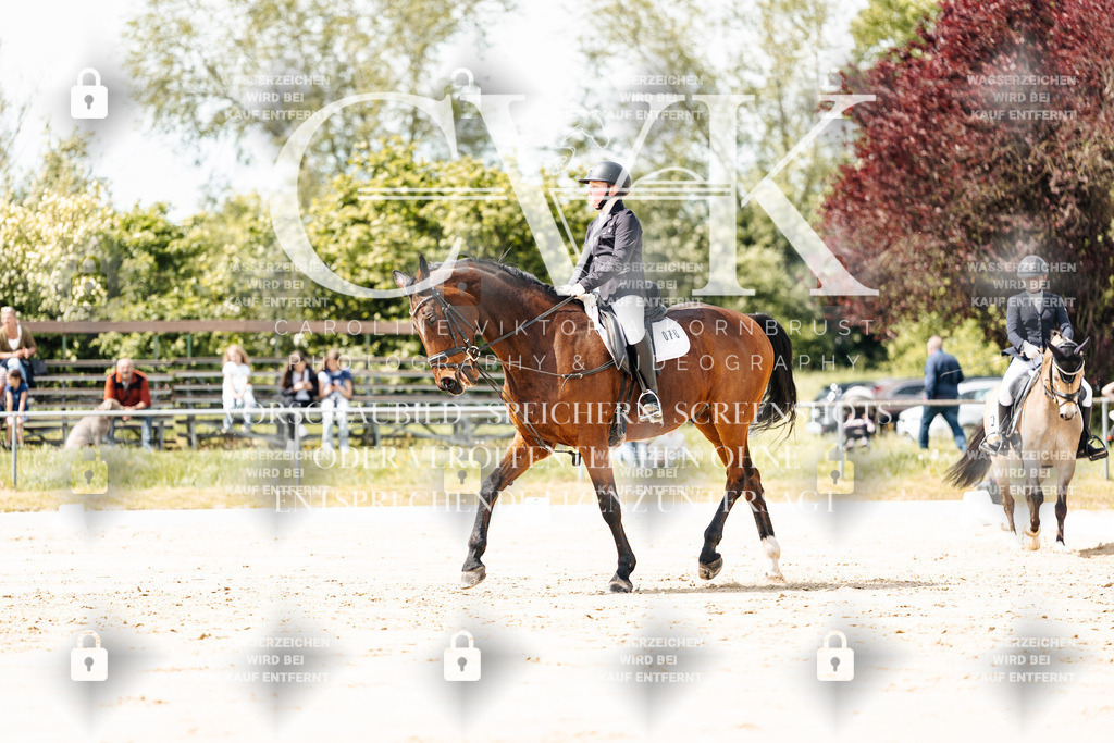 CK901843 | Turnierfotografie Pferdefotografie Trier Rheinland-Pfalz Pferdesport Reitsport Tierfotografie Sportfotografie Pferdevideo Pferdevideografie Equestrianvideography equestrianphotography  - Realisiert mit Pictrs.com