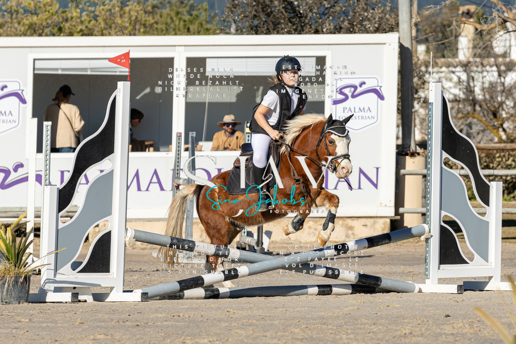 IMG_7839 | s-jay-photography - Realisiert mit Pictrs.com