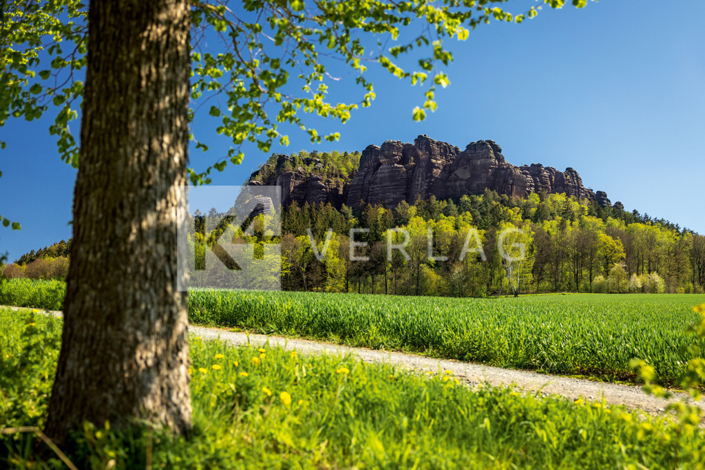 Wandbild-Pfaffenstein-0U3A1982 | Wanderweg zum Pfaffestein im leuchtendem Grün - Realisiert mit Pictrs.com