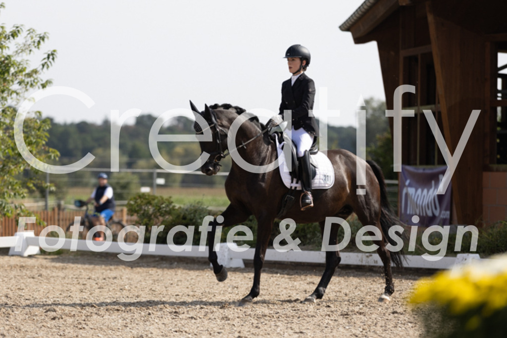 IMG_3947 | Creatify Fotografie