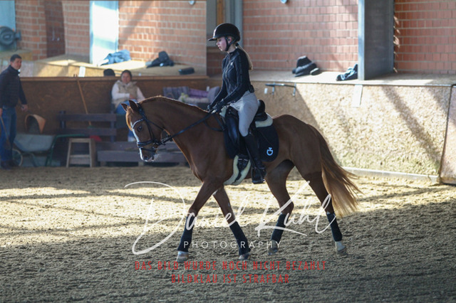 DKP42181 | Turniersportfotografie; Pferdefotografie; Dressurfotografie