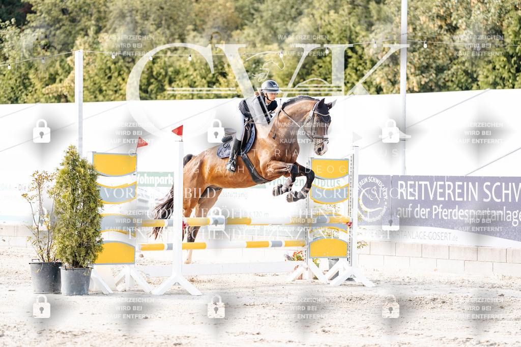 CK906371 | Turnierfotografie Pferdefotografie Trier Rheinland-Pfalz Pferdesport Reitsport Tierfotografie Sportfotografie Pferdevideo Pferdevideografie Equestrianvideography equestrianphotography  - Realisiert mit Pictrs.com