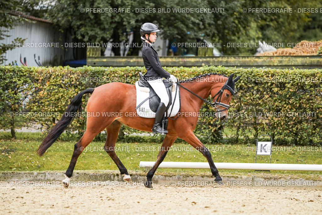 DSC07904 | Pferdegrafie