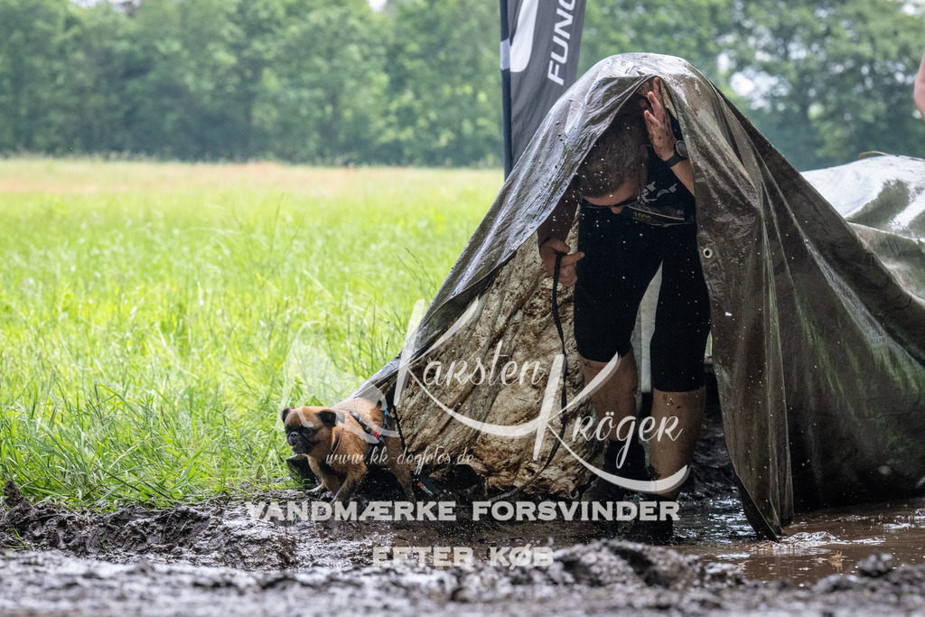 1127_ZZ92992 | kk-dogfotos