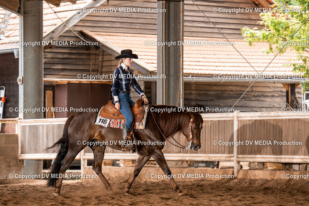 Erbach Tag 4-713 | dv-media-shop - Realisiert mit Pictrs.com