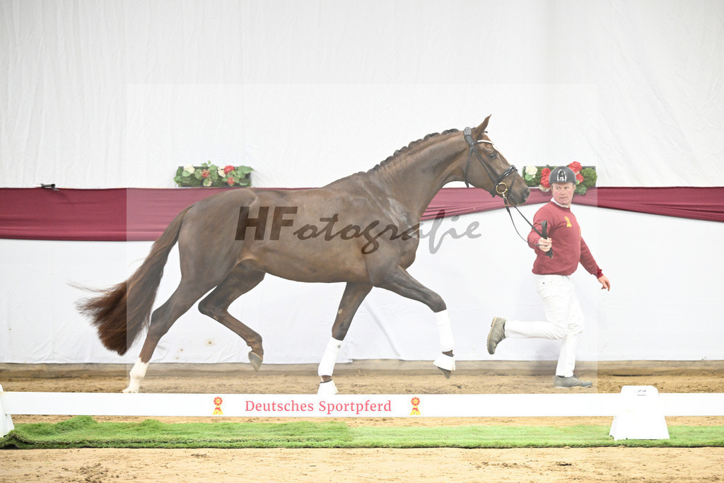 Kat-Nr. 15 Vitalis x Rock Forever I_Christoph Kuehnle_47250349 | hf-fotografie - Realisiert mit Pictrs.com