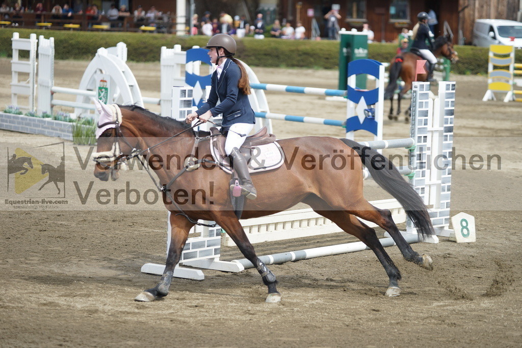 DSC04363 | equestrian-live-com