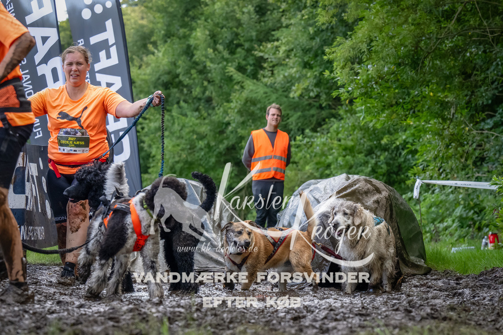 1154_ZZ90172-Bearbeitet | kk-dogfotos