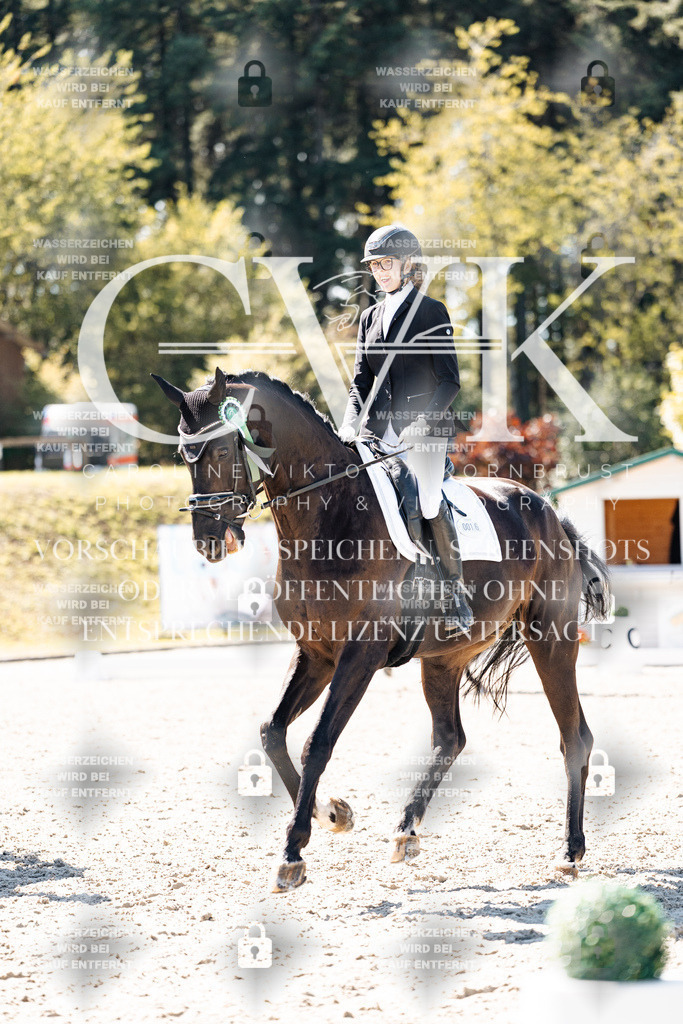 CK909998 | Turnierfotografie Pferdefotografie Trier Rheinland-Pfalz Pferdesport Reitsport Tierfotografie Sportfotografie Pferdevideo Pferdevideografie Equestrianvideography equestrianphotography  - Realisiert mit Pictrs.com