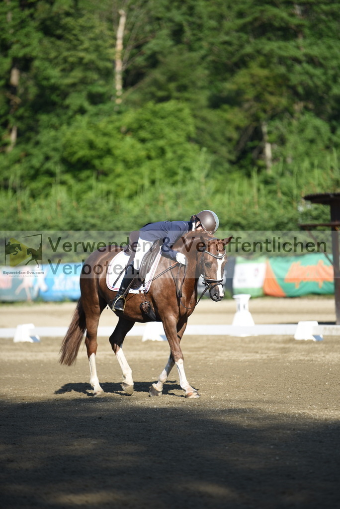 DSC_6801 | equestrian-live-com