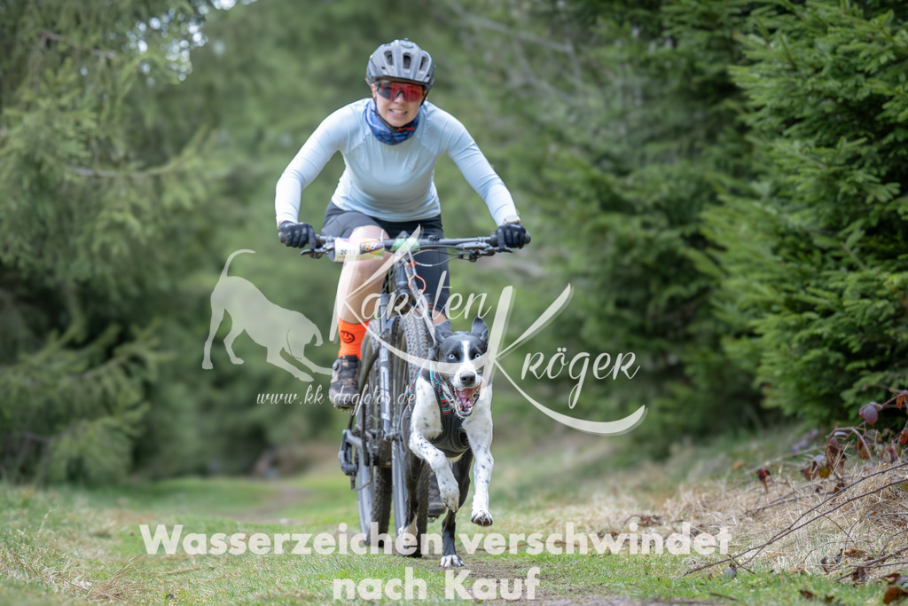 1309_ZZ93690 | kk-dogfotos