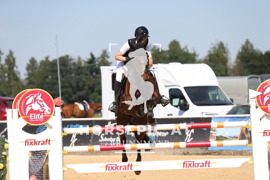 DL2Q4794 | Willkommen bei Brunnmayr - Design & Fotografie – Ihrem Spezialisten für Reitturniere und Pferdeveranstaltungen in Oberösterreich, Salzburg und Bayern! Seit über 17 Jahren sind wir leidenschaftlich dabei.