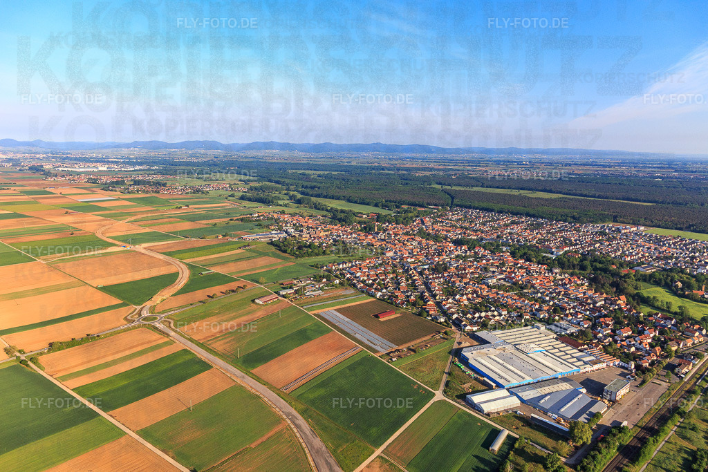 Ortsansicht von Osten | Luftbild: Ortsansicht von Osten in Bellheim im Bundesland Rheinland-Pfalz in Deutschland. Foto: IMG_120686.jpg vom 03.05.2020 durch Werner Riehm/FLY-FOTO.de - Realisiert mit Pictrs.com
