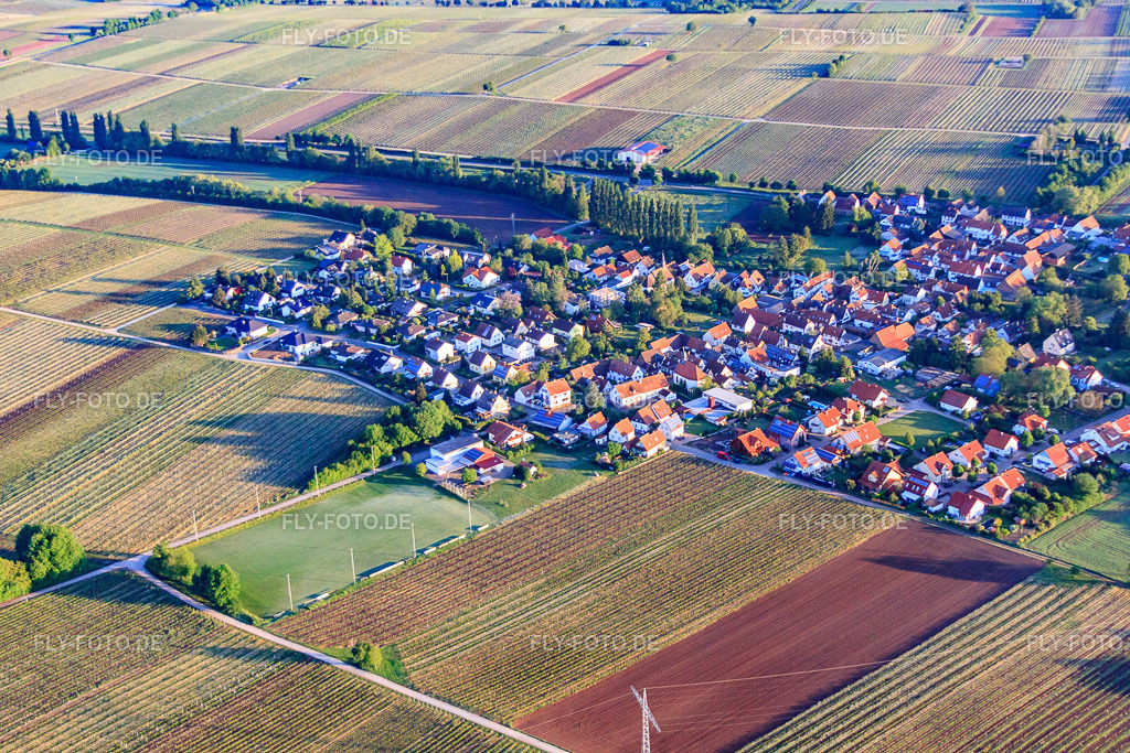 Dorfansicht am Morgen aus Süden | Luftbild: Dorfansicht am Morgen aus Süden in Knöringen im Bundesland Rheinland-Pfalz in Deutschland. Foto: IMG_64606.jpg vom 04.05.2014 durch Werner Riehm/FLY-FOTO.de - Realisiert mit Pictrs.com
