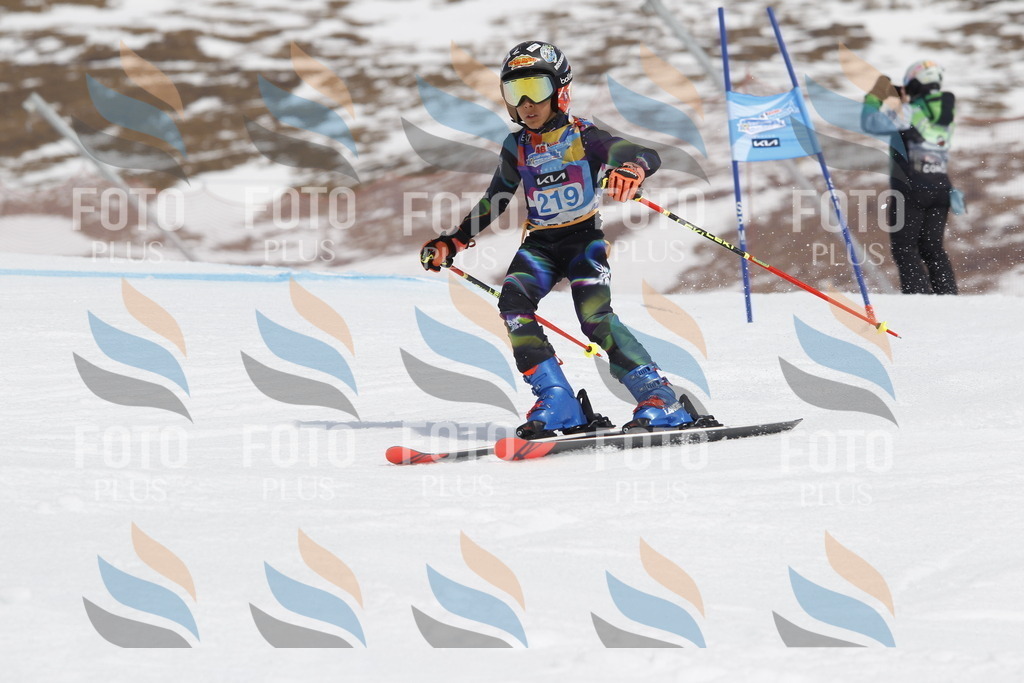 _U3G2351 | holidayphoto