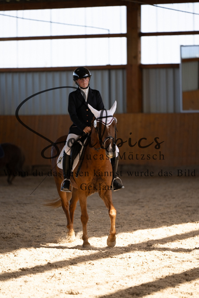 A7V02147 | Turnier/Reitfotograf