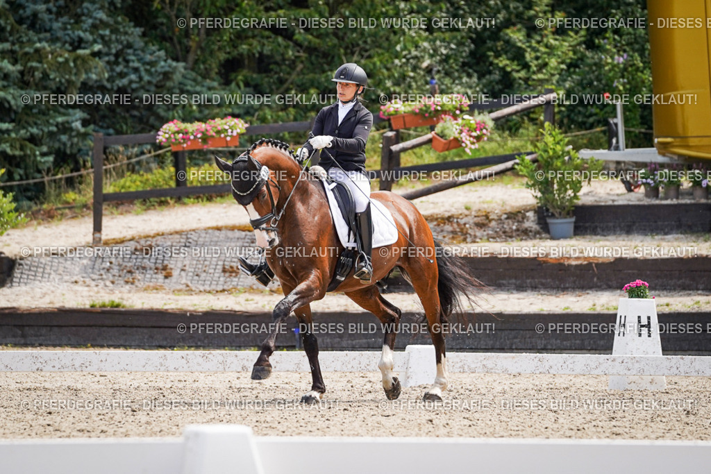 DSC00331 | Pferdegrafie