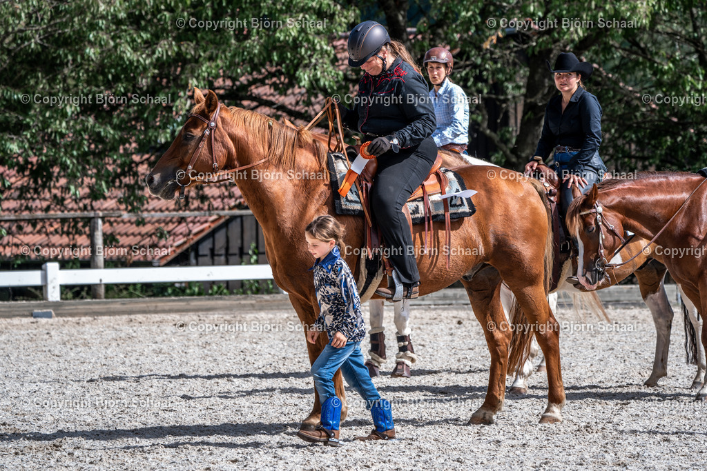 HOB08948 | BS-foto