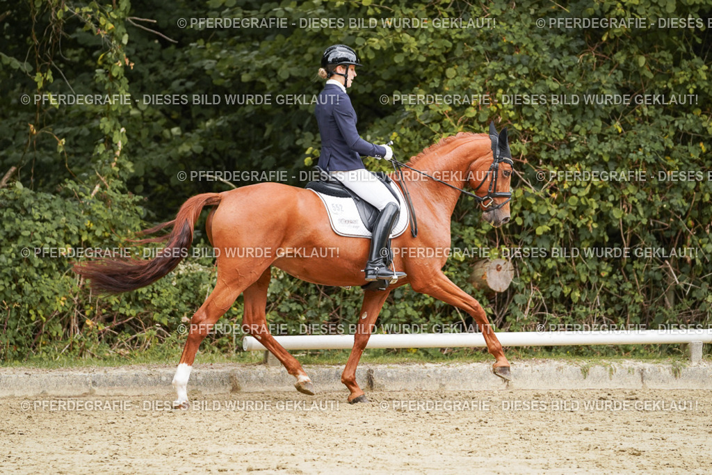 DSC09902 | Pferdegrafie