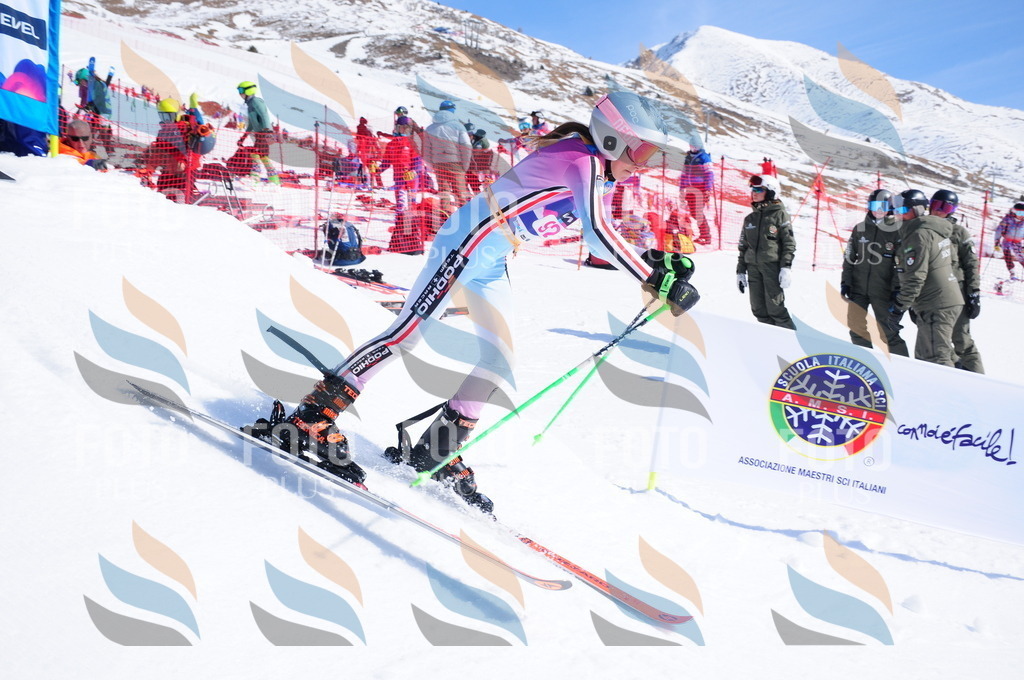 DSC_4658 | holidayphoto