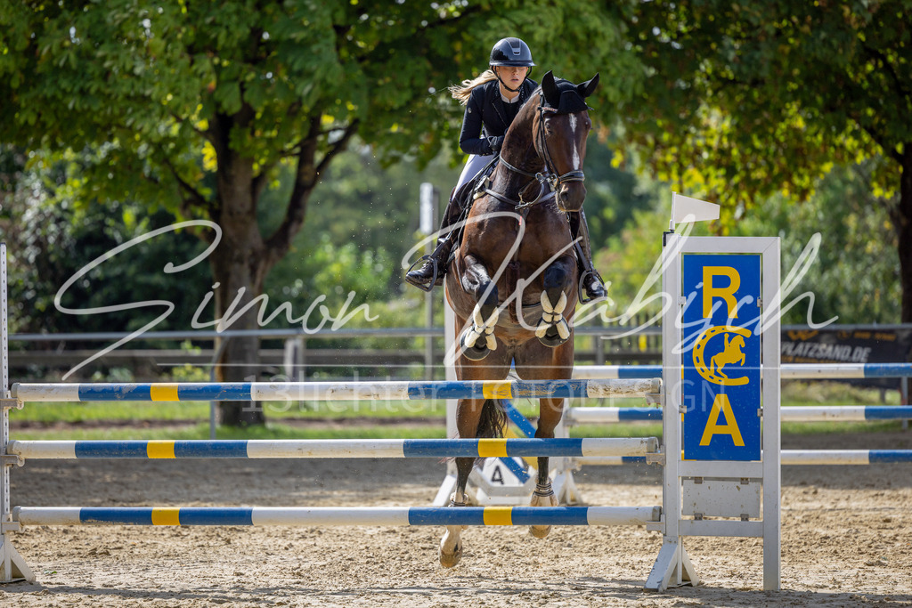 20260905-_3LI7461 | Tierfotografie Pferde, Hunde, Katzen, Haustiere.
Turnierfotografie Reitturniere, Reiten, Springreiten, Dressur in Hanau, dem Main-Kinzig-Kreis und dem Rhein-Main- Gebiet um Frankfurt