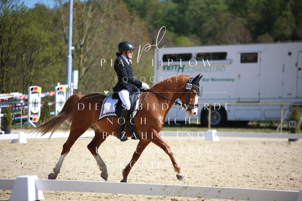 IMGT1561 | pl-fotografie