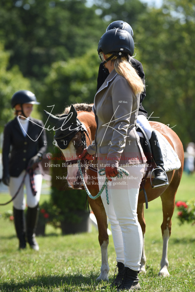 DSC_9735 | Pferde- und Turnierfotografie in Westsachsen. Pferdeportraits, Auftragszeichnungen und intuitive Kunst.