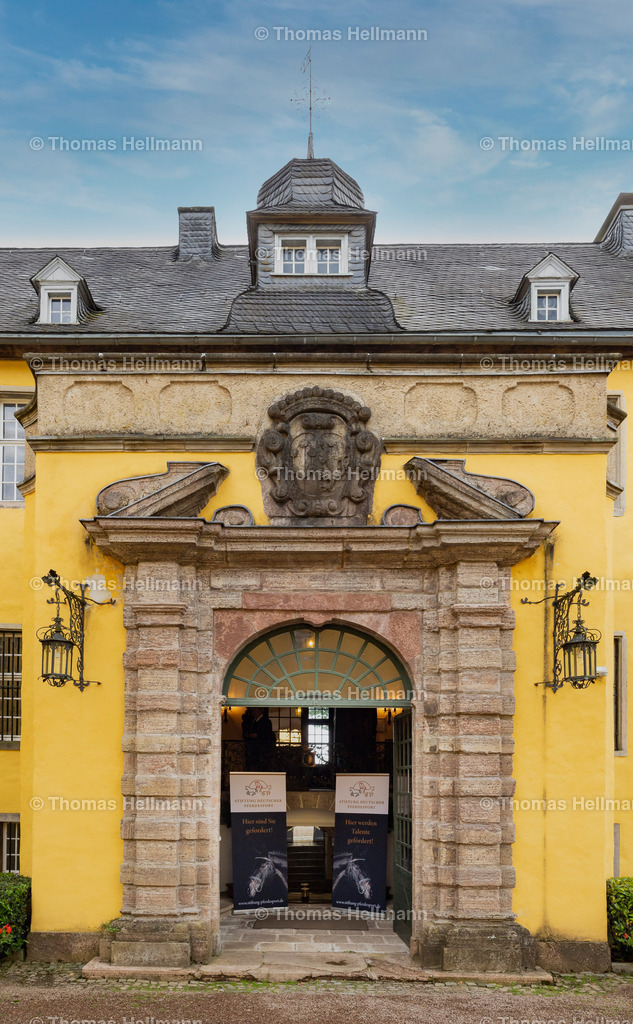 TH_STIFTUNG DEUTSCHER PFERDESPORT_18945-Bearbeitet | STIFTUNG DEUTSCHER PFERDESPORT am 05.06.24 in MENDEN, STIFTUNG DEUTSCHER PFERDESPORT