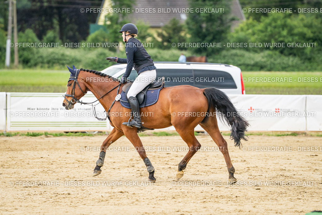 DSC06592 | Pferdegrafie