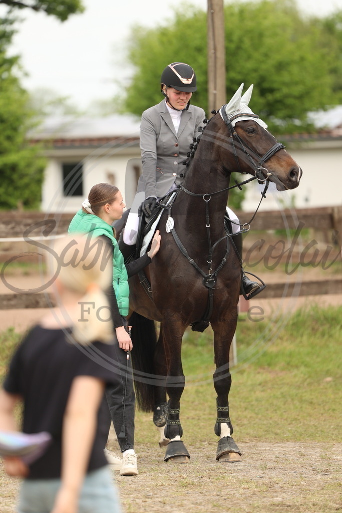 994A8192 | sabrinanicolaifotografie - Realisiert mit Pictrs.com