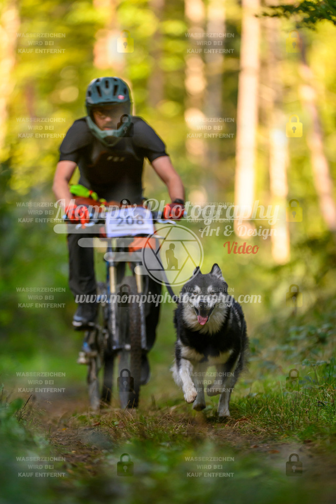 MompixPhotography_Yens2025_B3-22 | PayLife