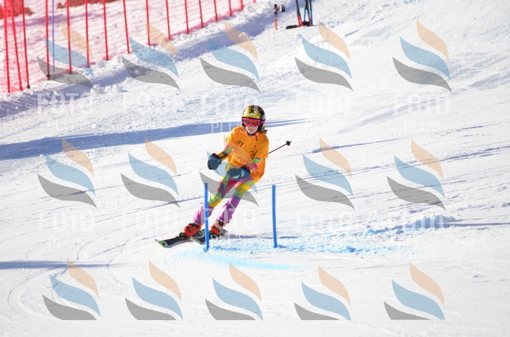 C5944 | holidayphoto