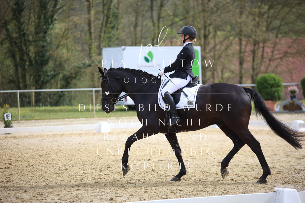 IMGT6165 | pl-fotografie