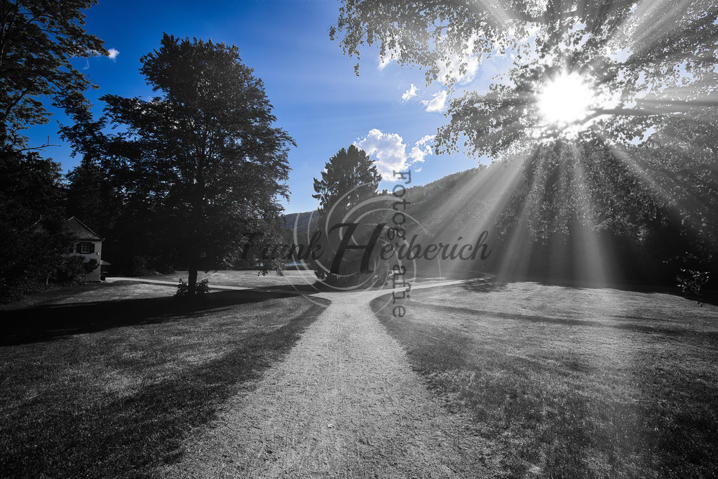 2022_05_28_3238 | Frank Herberich Fotografie, Frank Herberich, Fotografie, Hochzeit, Portrait, St. Peter Ording, Ording, Westerhever, Nordsee, Frank Fotografie, Hardheim,  Odenwald,Walldürn, Band,Eventfotografie - Realisiert mit Pictrs.com