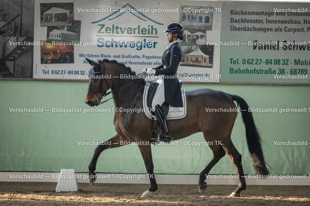 _D5A8032 | Emotionale Pferde- & People-Fotografie rund um Heidelberg, Leimen & Umgebung. Natürliche Fotos von Pferd, Mensch & Familie. Jetzt Termin sichern!