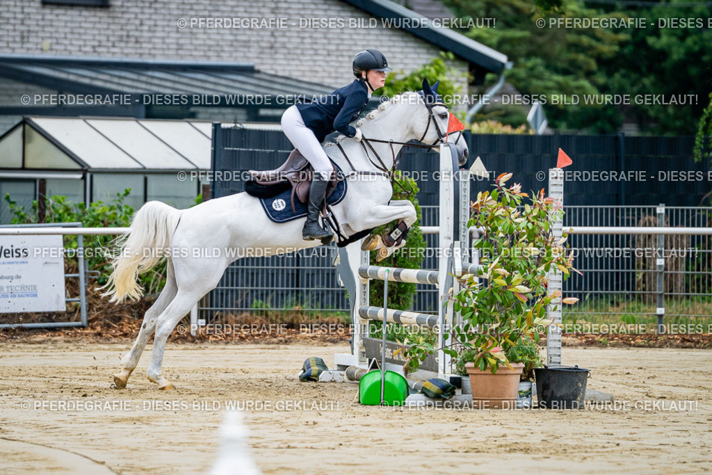 DSC01691 | Pferdegrafie