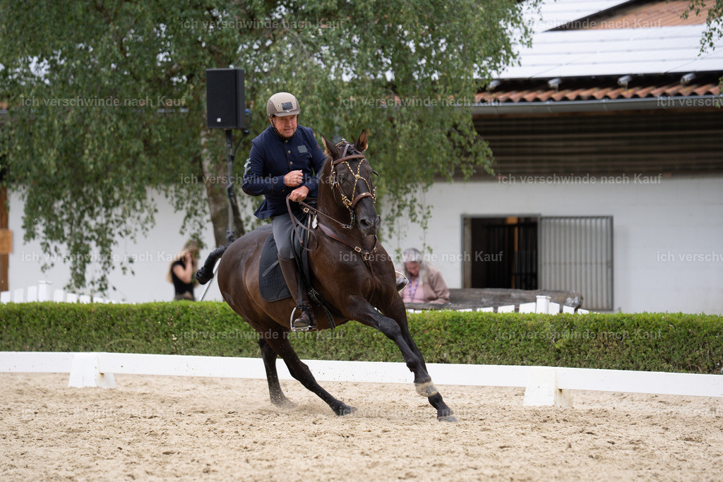 WS_DR_37_sinafilmart_IN01967 | working equitationturnier fotograf videograf stoibphotography marixx film working equitation deutschland reitsport turnierfotografie eventfotografie equestrian events