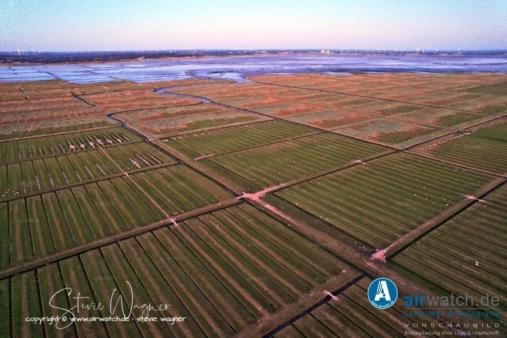 Nordsee, Nordfriesland, Nordstrand, Pohnshalligkoog - airwatch.de | Der Pohnshalligkoog umfasst eine Fläche von etwa 695 Hektar und ist der östlichste und zweitgrößte Koog der Halbinsel Nordstrand. Die Eindeichung des Pohnshalligkoogs war 1924 abgeschlossen. Trotz der Schwierigkeiten bei der Errichtung des Deiches und des verschlammten Bodens konnten die ersten Pächter 1924 den Koog übernehmen. Fünf Jahre nach der Eindeichung wurden die Pachtverträge jedoch aufgelöst und das gesamte Land der “Gemeinnützigen Siedlungsgesellschaft Deutscher Osten” übergeben.