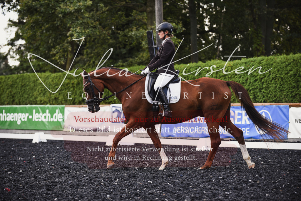 DSC_3993 | Pferde- und Turnierfotografie in Westsachsen. Pferdeportraits, Auftragszeichnungen und intuitive Kunst.
