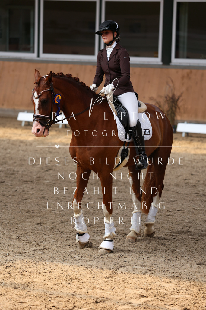 IMGM7659 | pl-fotografie