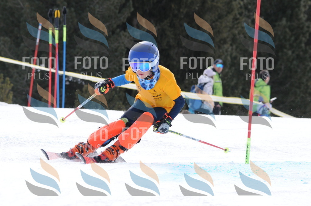 C7659 | holidayphoto