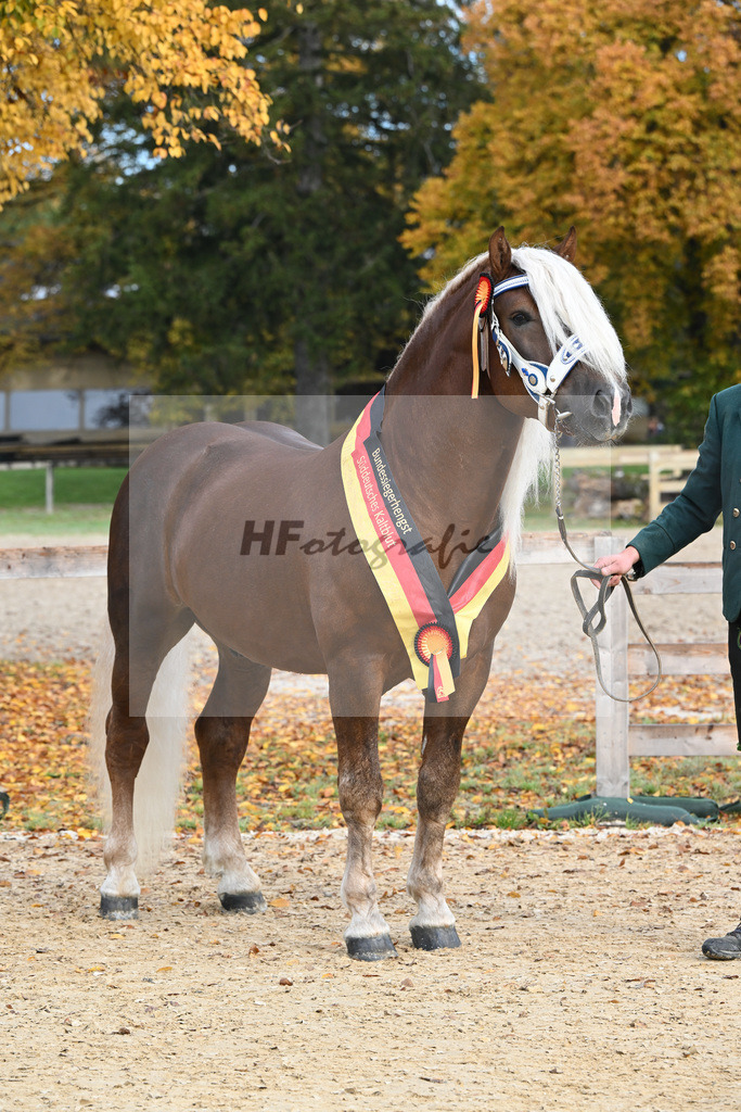 Kat-Nr. 90 Venturin_Hollinger u Ober_53223083 | hf-fotografie - Realisiert mit Pictrs.com
